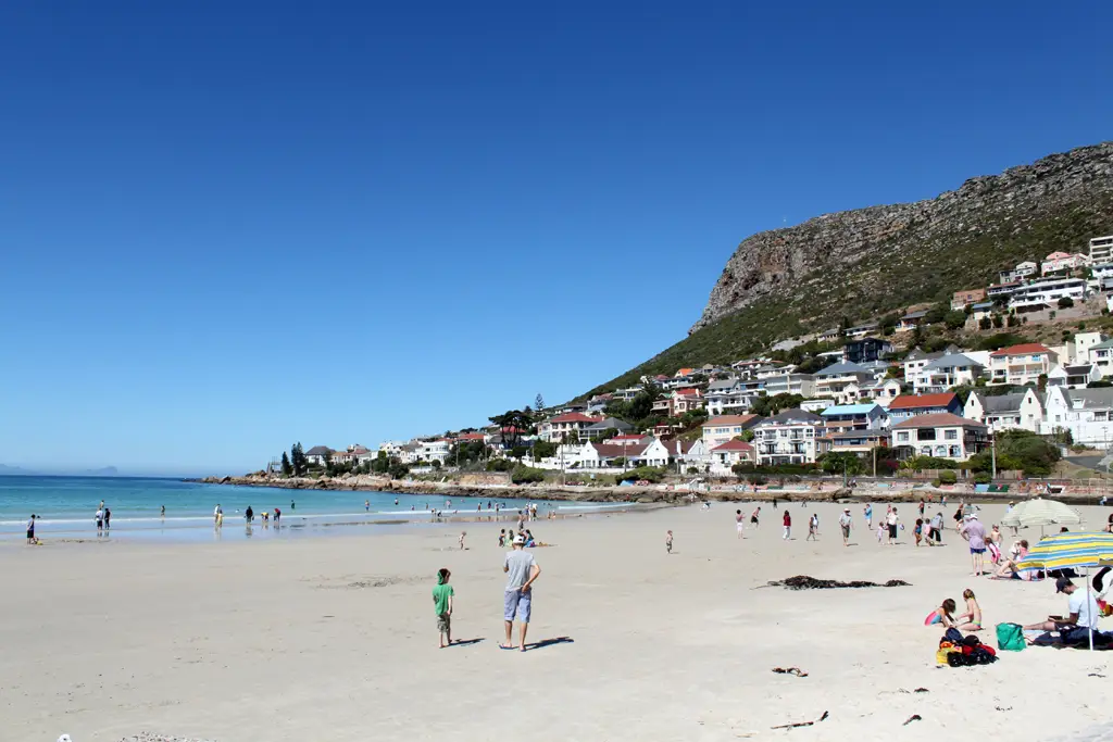 fish hoek beach in cape town with people sunbathing and playing