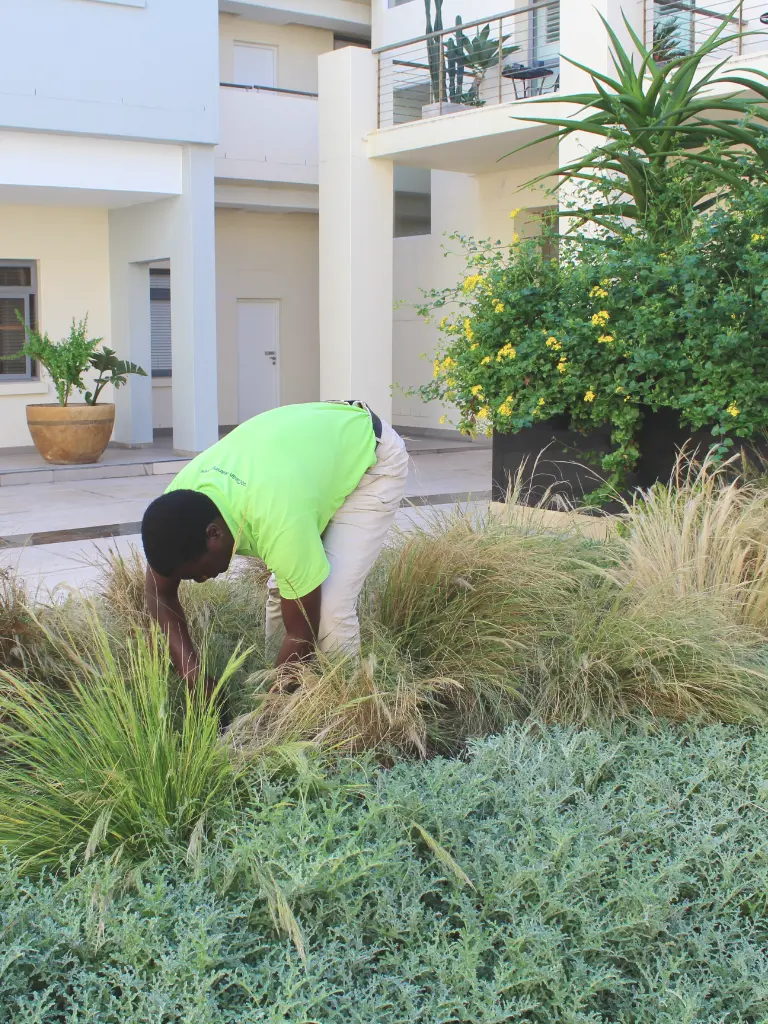 a man gardening